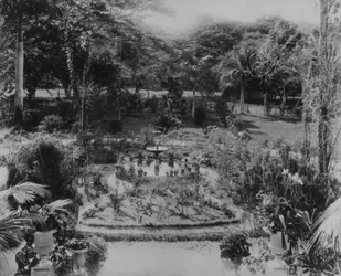 Jardín de una villa suburbana, Puerto España, Trinidad